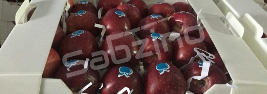 خرید سیب درختی صادراتی